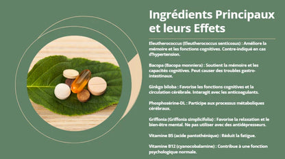 MYBRAIN : Boostez Votre Mémoire et Votre Concentration